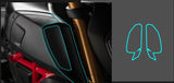 Motorcycle Carbon Sticker Tank Cap Pad Motor Decoration Sticker Full Set  For Ducati Diavel 1260 2021 DIAVEL diavel1260
